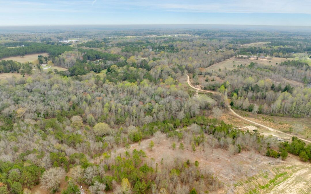 Boost the Value of Your Land